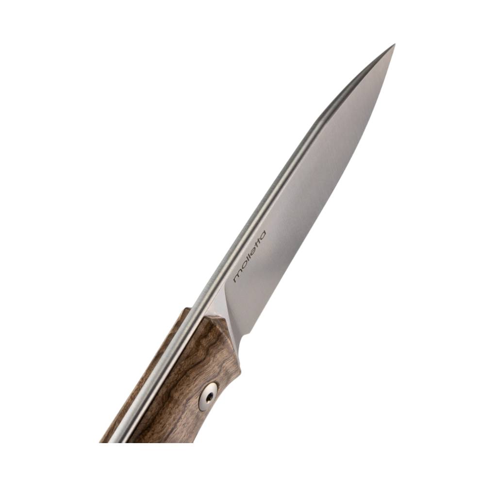 LIONSTEEL B35 FIXED BLADE
